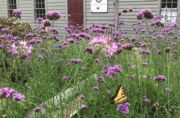 Madison Entrepreneur Survives Tv S Shark Tank Madison Eagle News Newjerseyhills Com