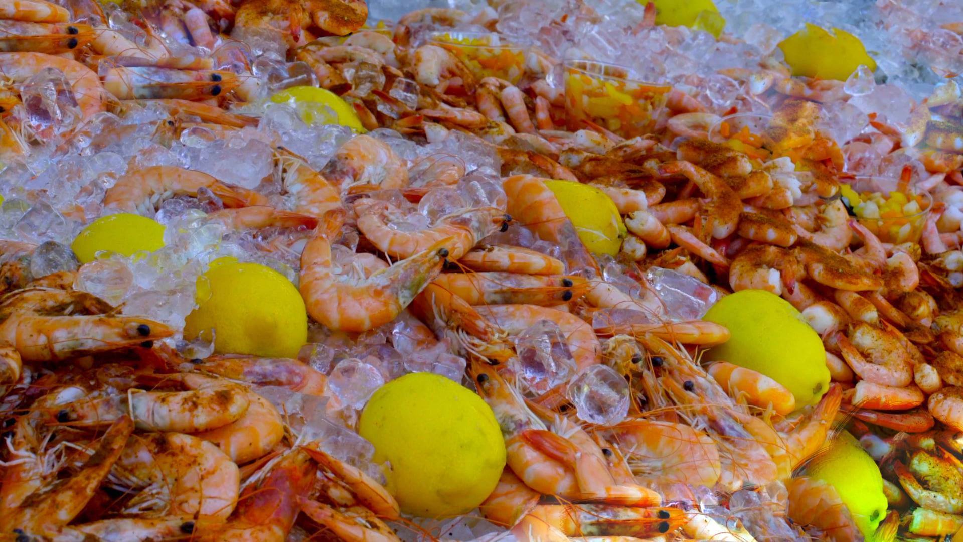 The Punta Gorda Seafood & Music Festival returns May 13-15, 2022 at Laishley Waterfront Park. - The Punta Gorda Seafood & Music Festival returns May 13-15, 2022 at Laishley Waterfront Park.
