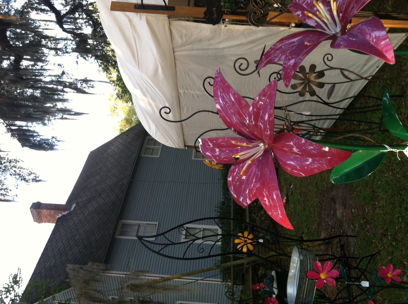 McIntosh1890sFestival - McIntosh1890sFestival