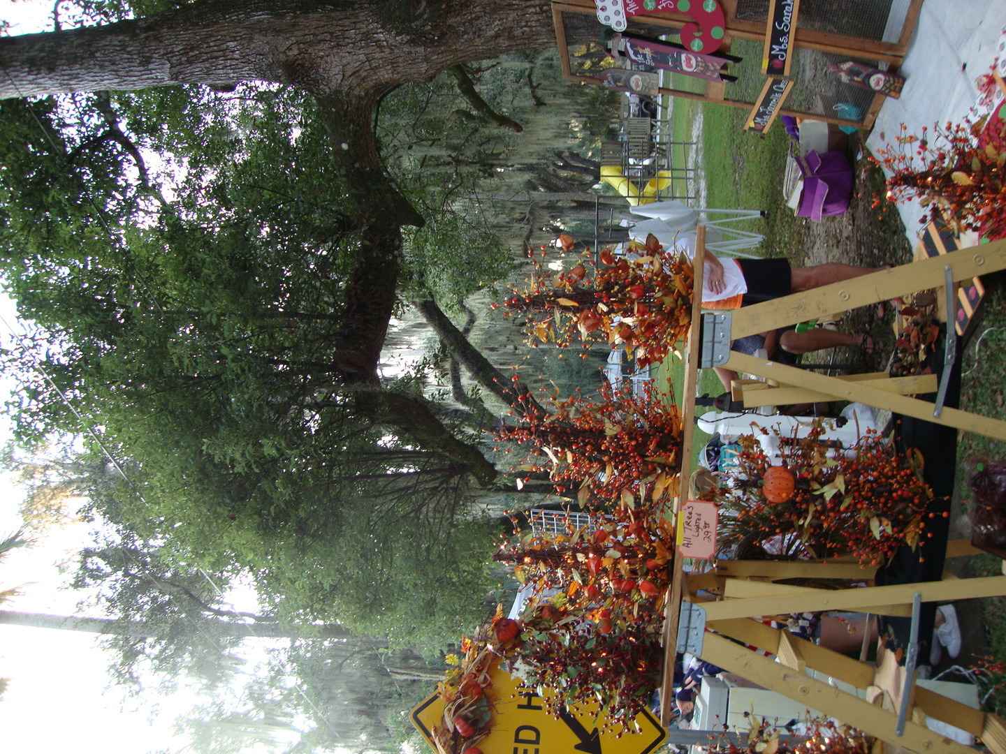 McIntosh1890sFestival - McIntosh1890sFestival