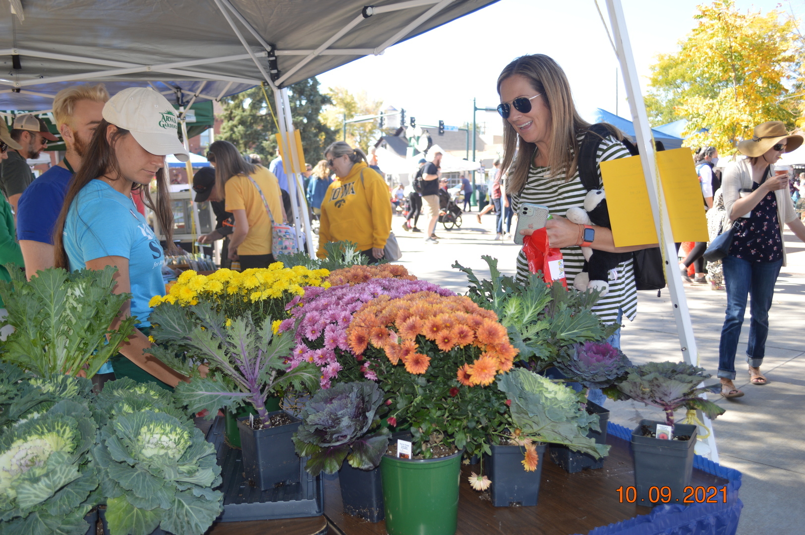 Giant Pumpkins and Squash Invade Olde Town - Giant Pumpkins and Squash Invade Olde Town