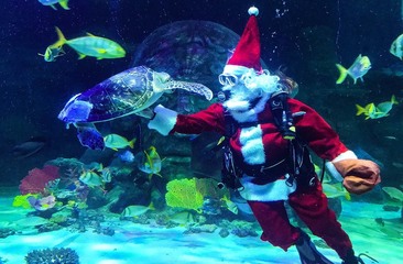 Local Events | tctimes.com