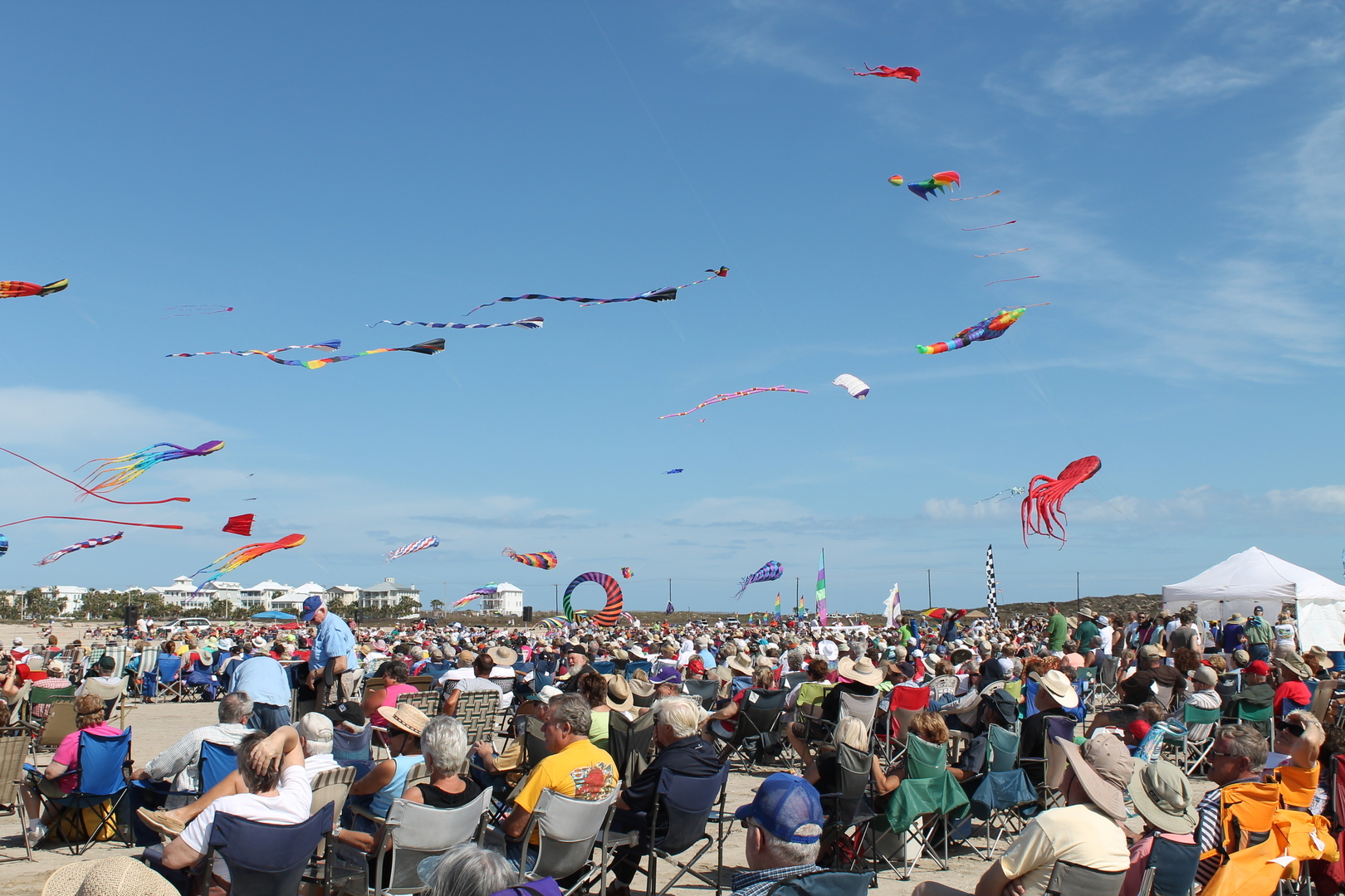 SPI Kite Fest - Outdoor Kite Festival