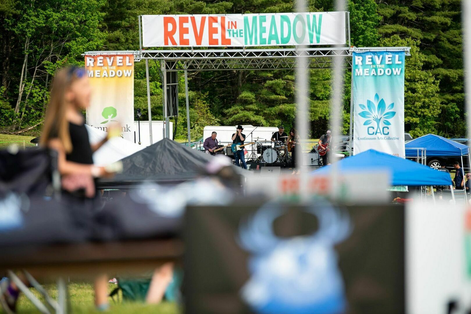 Revel in the Meadow - Revel in the Meadow