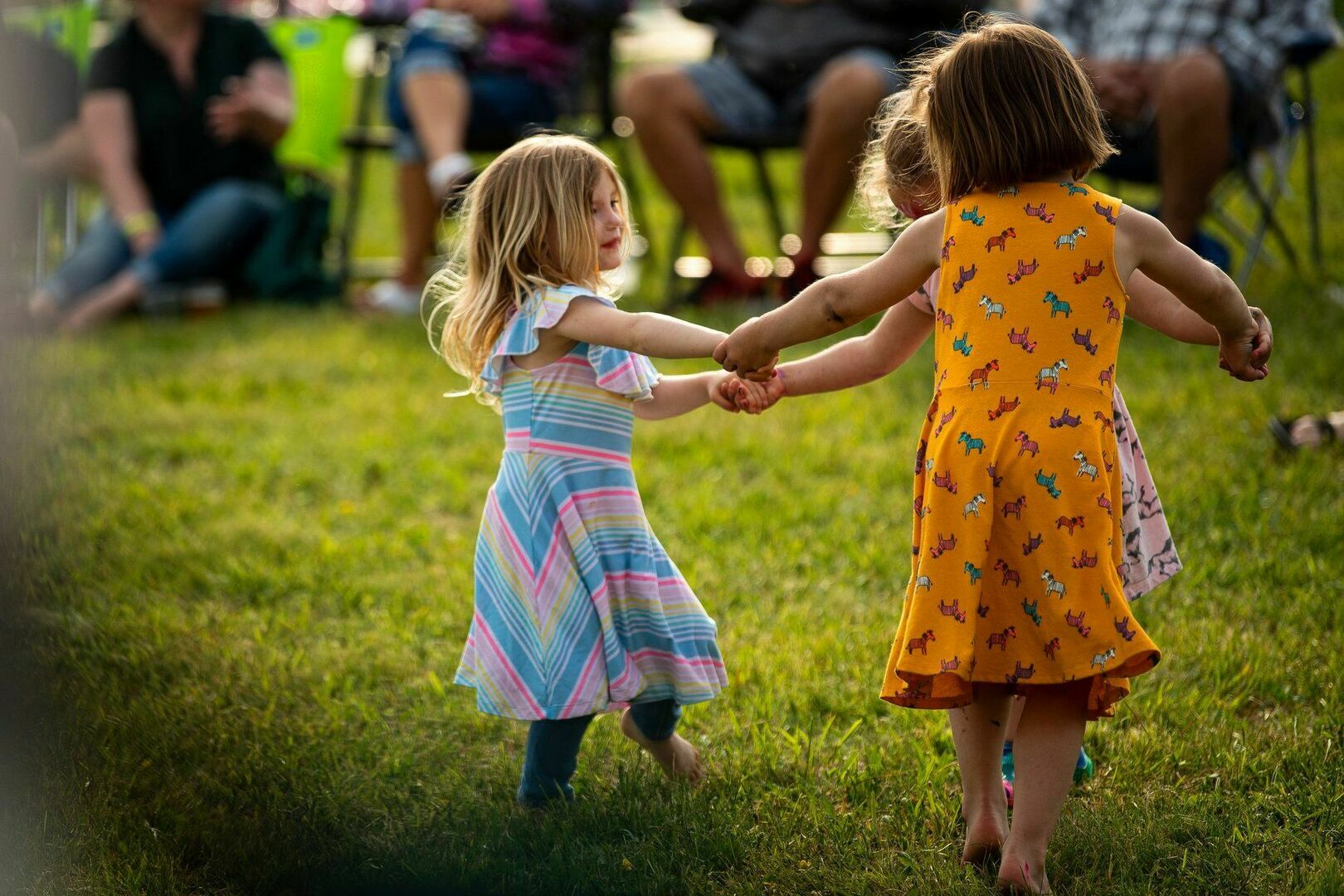 Revel in the Meadow - Revel in the Meadow