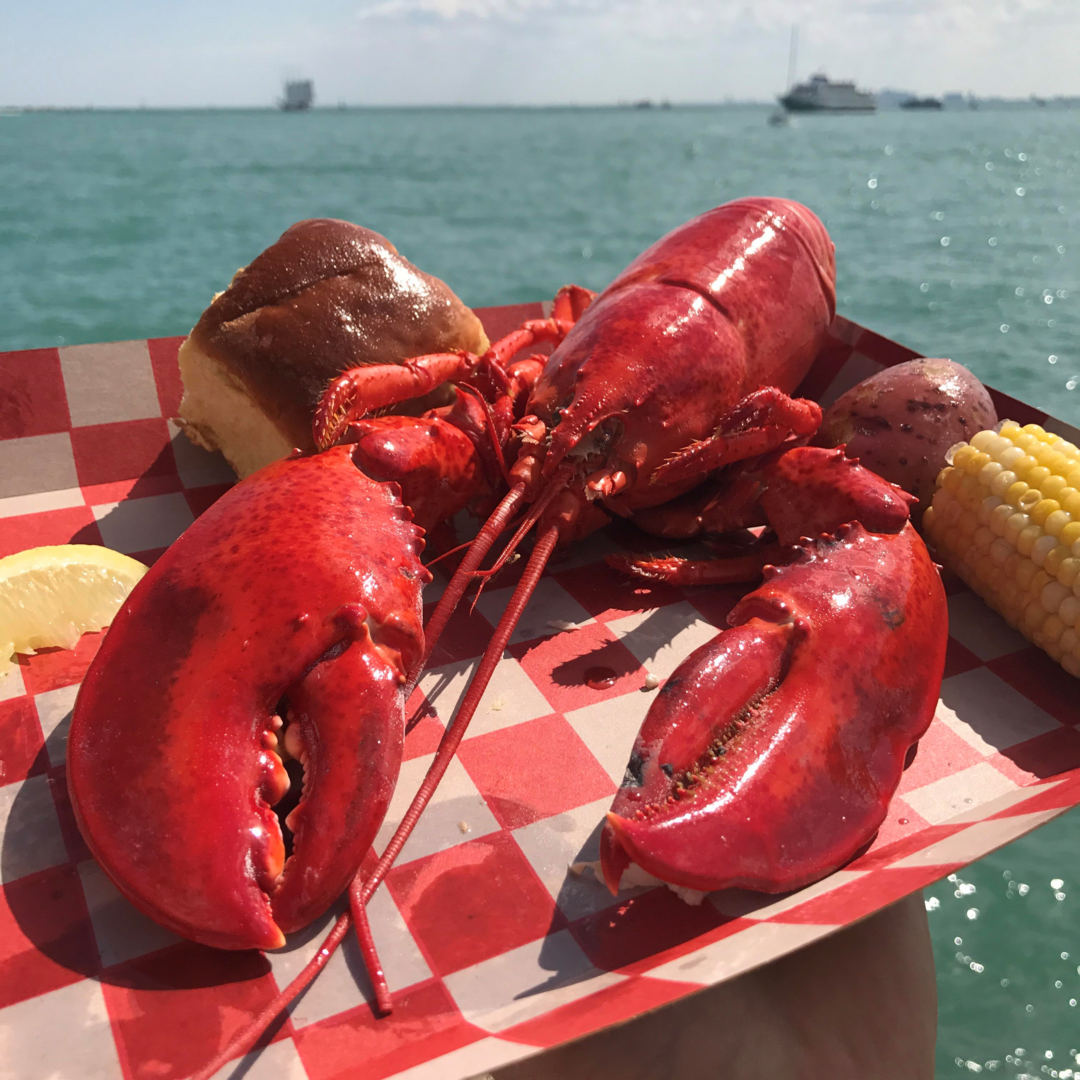 The Great American Lobster Fest - The Great American Lobster Fest