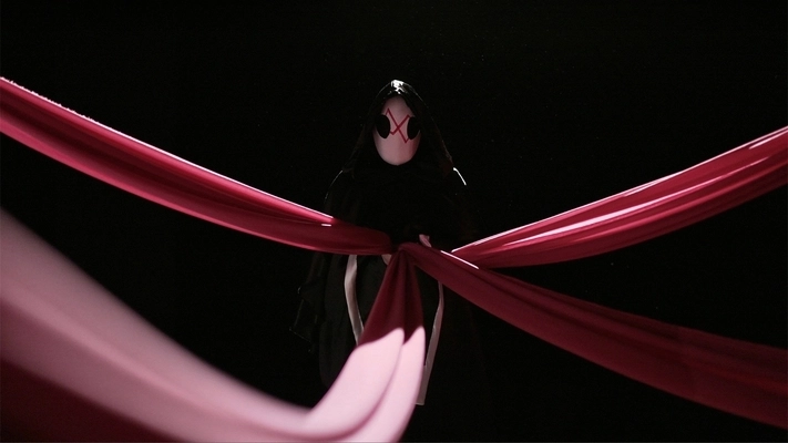 baby shadow le storie del riccio