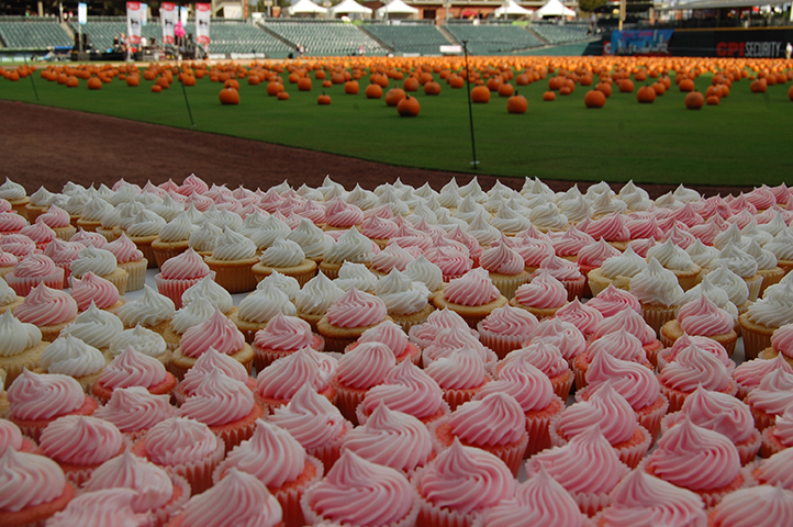 Mecklenburg Oktoberfest and Pink Cupcake Walk 2023 - Mecklenburg Oktoberfest and Pink Cupcake Walk 2023
