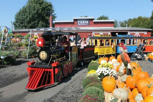 Reston Farm Garden Market Fall Festival - Reston Farm Garden Market Fall Festival