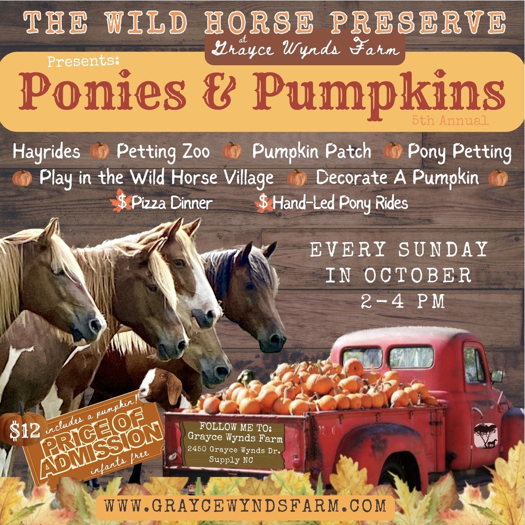 Ponies and Pumpkins