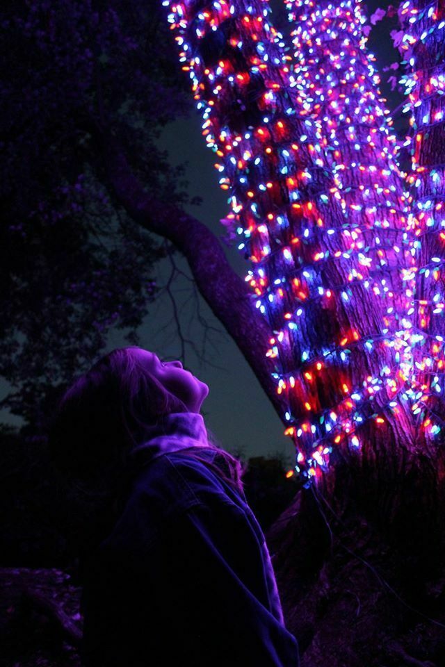 Meadowlark's Winter Walk of Lights - Meadowlark's Winter Walk of Lights