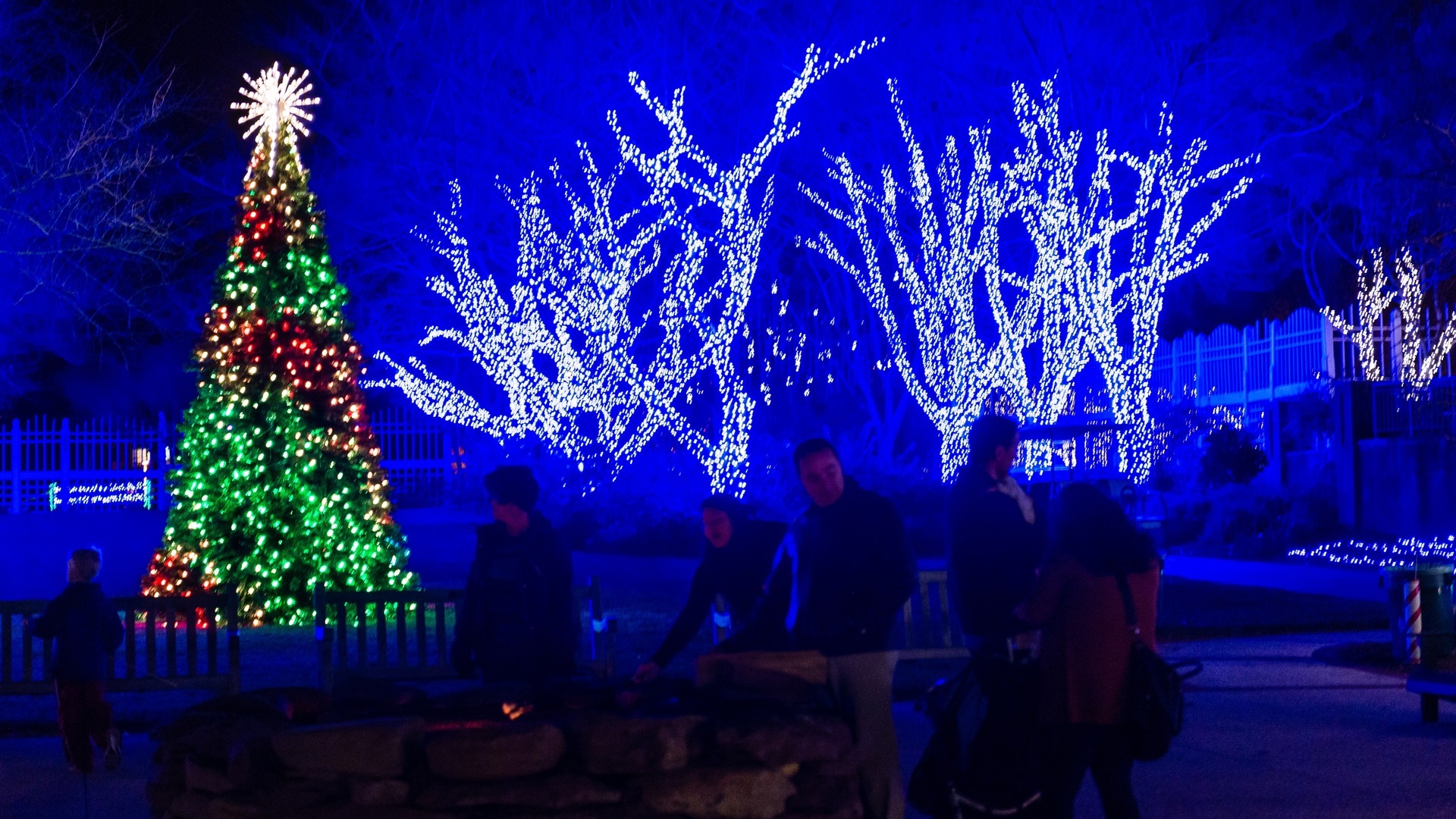 Meadowlark's Winter Walk of Lights - Meadowlark's Winter Walk of Lights