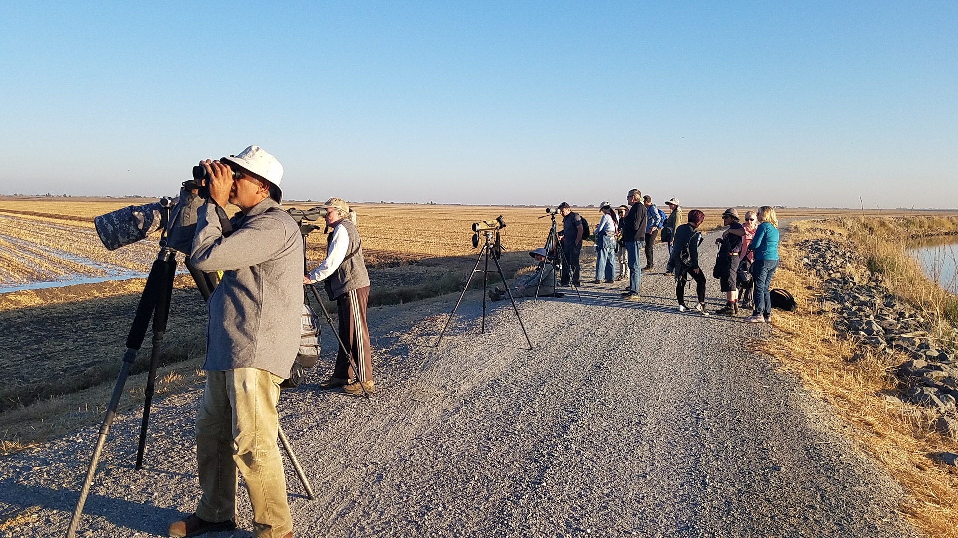 Lodi Sandhill Crane Festival - Lodi Sandhill Crane Festival