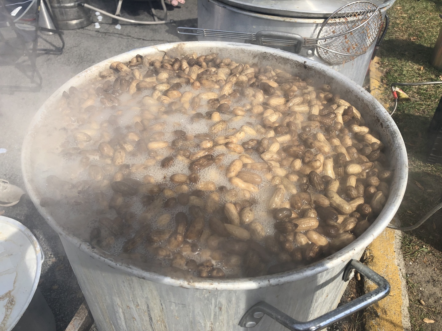 16th Annual Palmetto Peanut Boil - 16th Annual Palmetto Peanut Boil