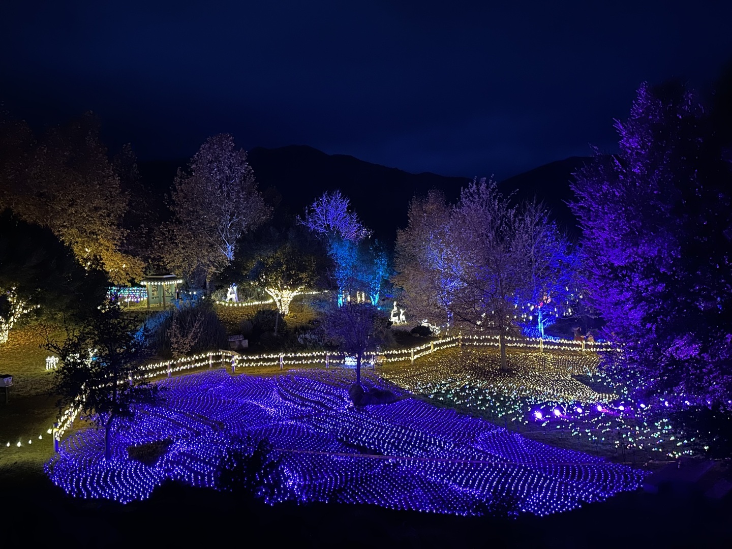 SYV Holiday Lights Festival - SYV Holiday Lights Festival