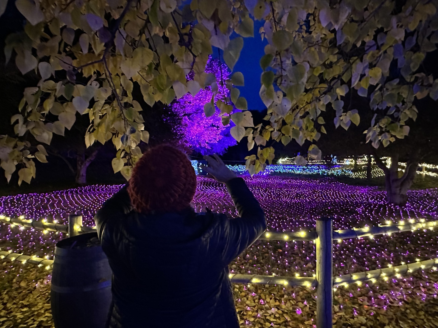 SYV Holiday Lights Festival - SYV Holiday Lights Festival