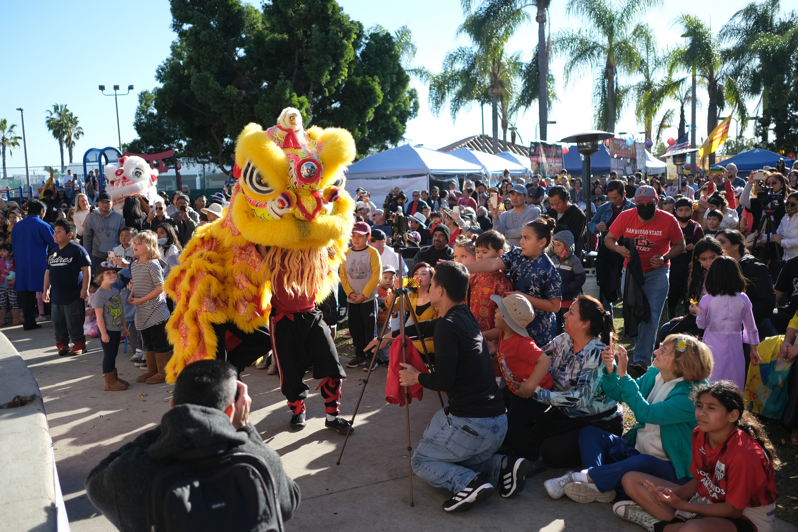 2024 SD Lunar New Year Festival - 2024 SD Lunar New Year Festival