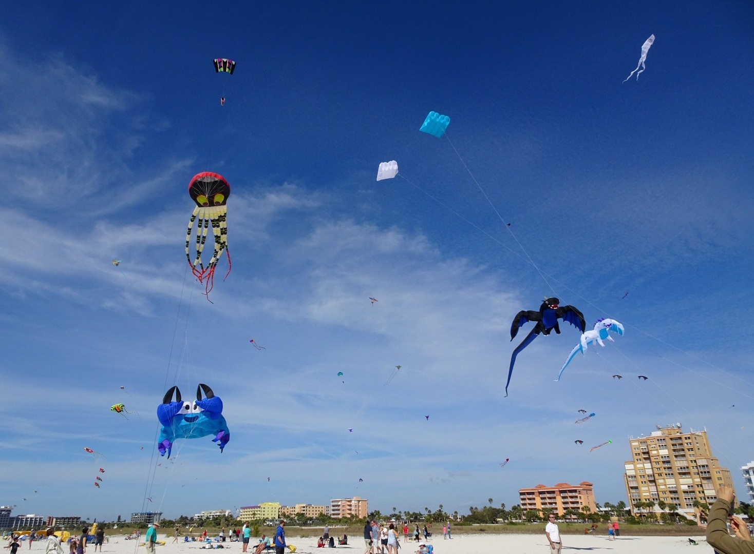 27th Annual Treasure Island Sport Kite Competition & Festival - 27th Annual Treasure Island Sport Kite Competition & Festival