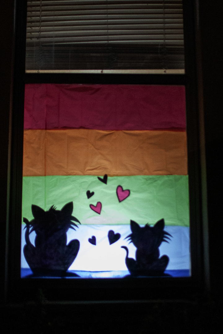 Cathcart Window Wanderland - Cathcart Window Wanderland