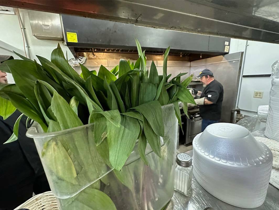 Ramp It Up Festival - Ramp It Up Festival