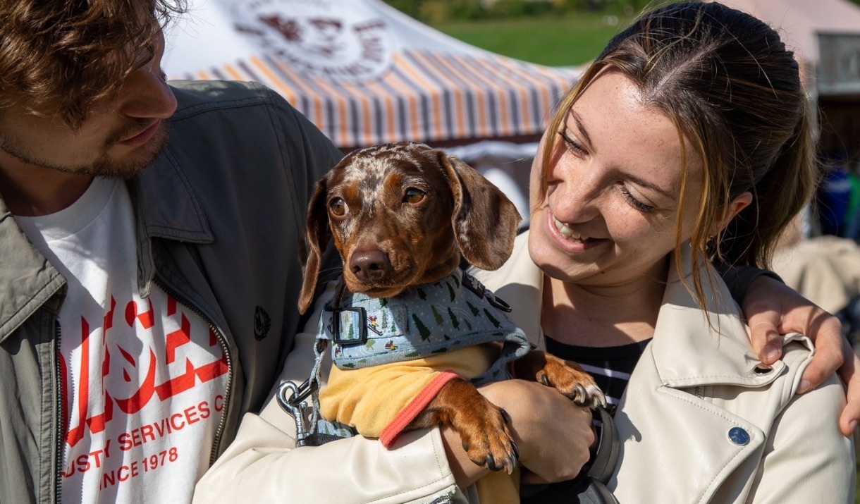 DogFest Harewood
