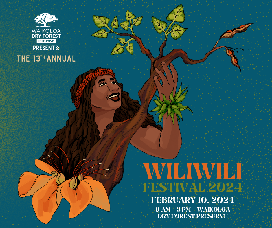 Wiliwili Festival