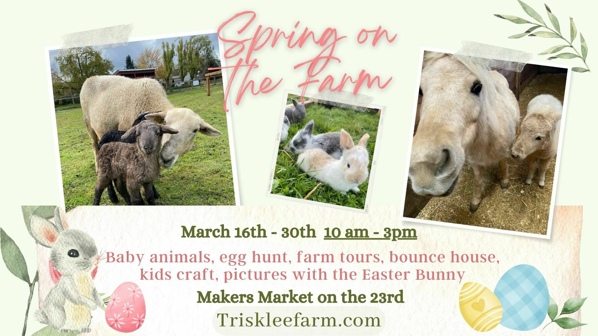 Spring On the Farm