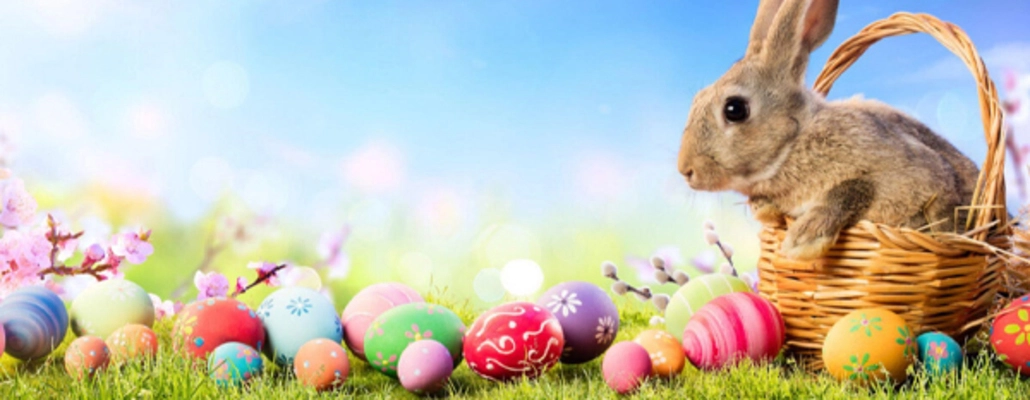 Connecticut Magazine Events Bunny Breakfast Brunch