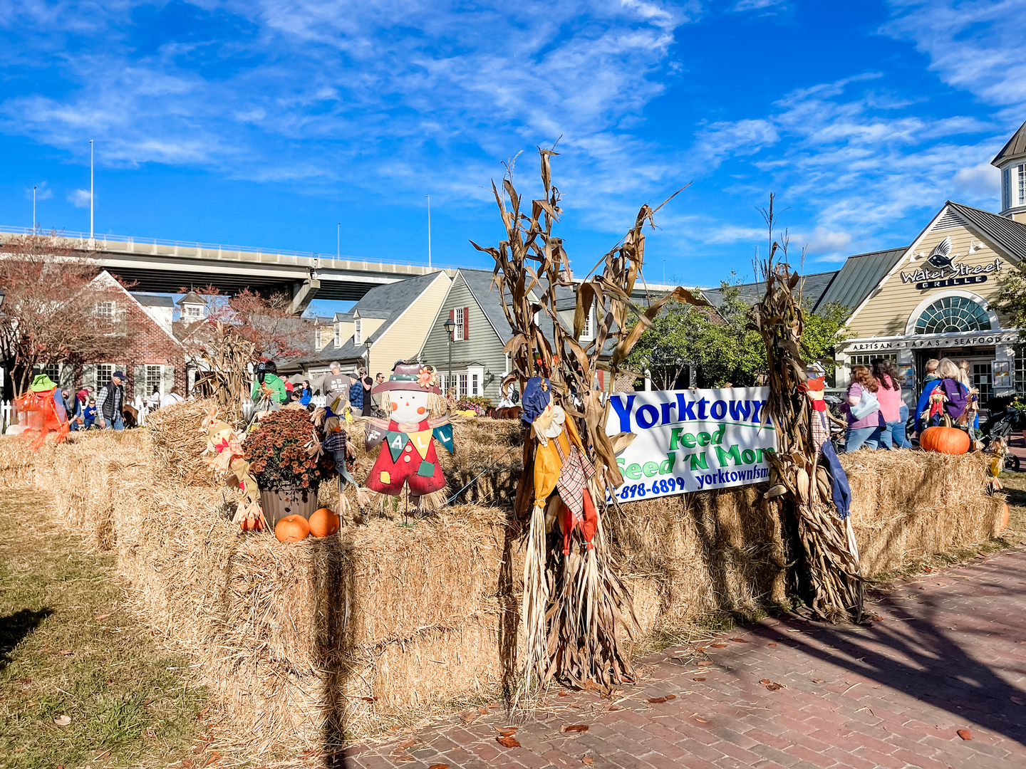 Yorktown Market Days - Harvest Festival - Yorktown Market Days - Harvest Festival