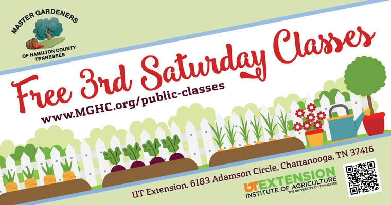 Chattanooga Now Events - 3rd Saturday Class: Growing a Future for Monarch  Butterflies