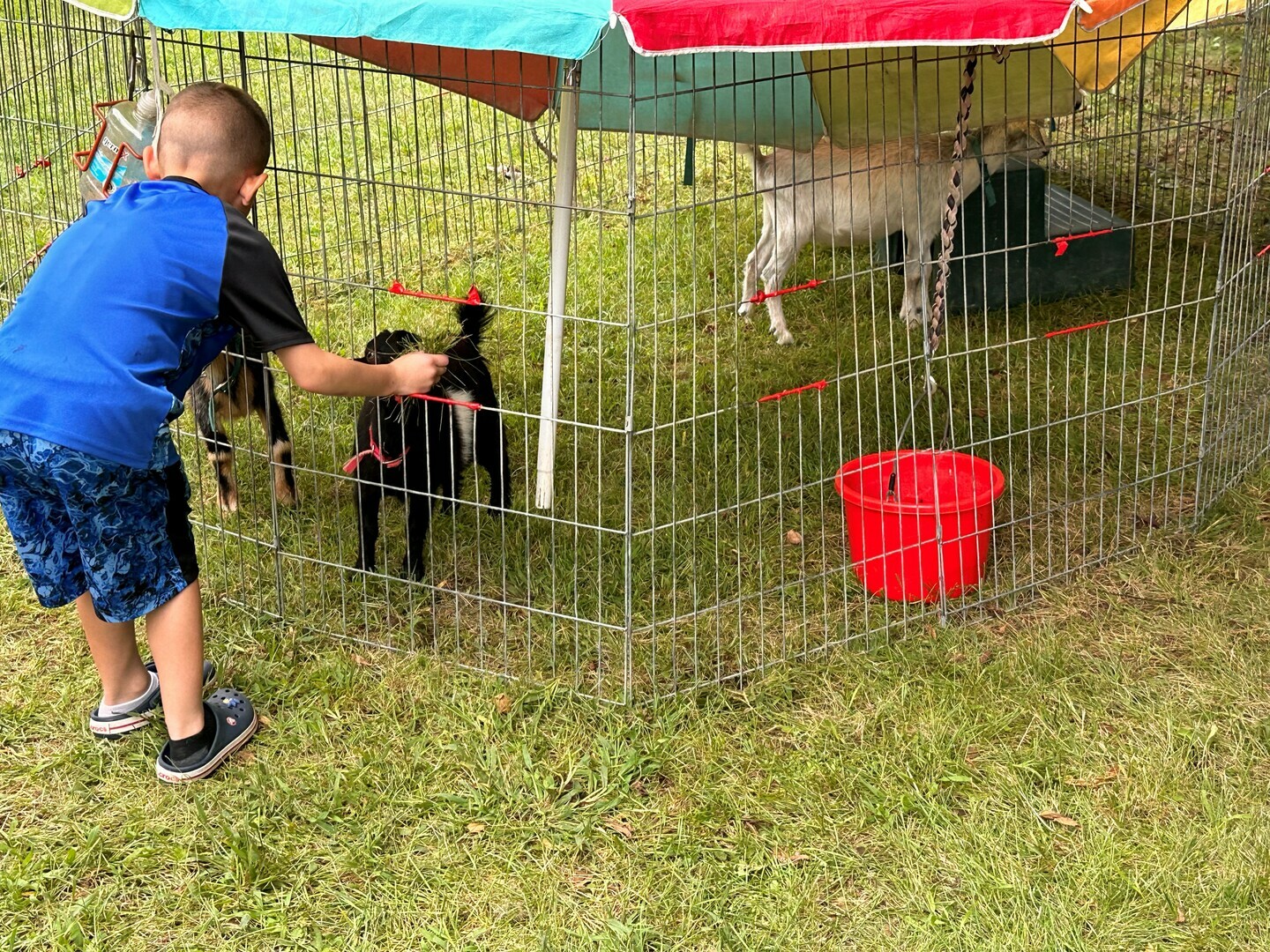 Old-Fashioned Sunday - Old-Fashioned Sunday