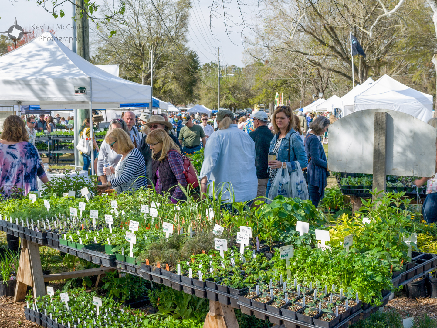 Herb and Garden Fair