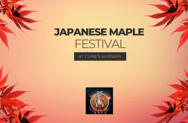 Local Events | ashepostandtimes.com Local Events | ashepostandtimes.com