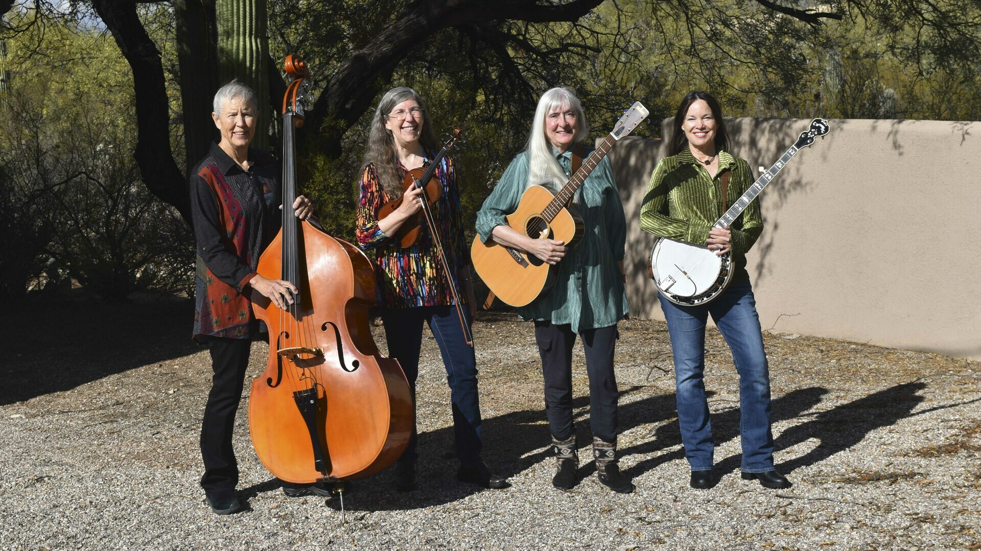 Desert Bluegrass Festival - Desert Bluegrass Festival