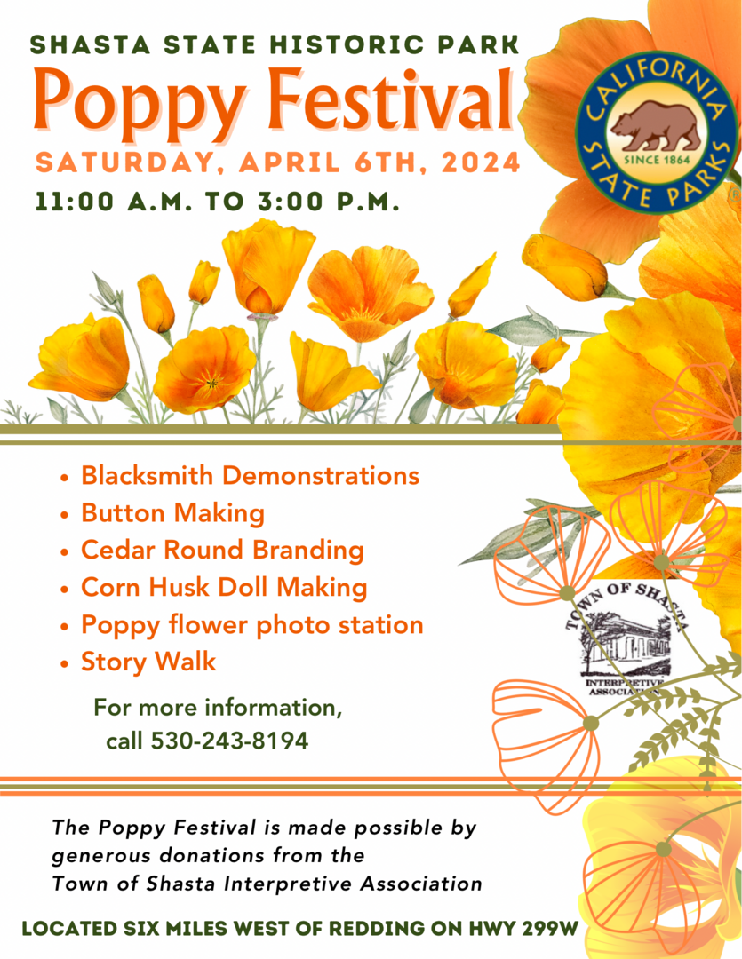 Poppy Festival
