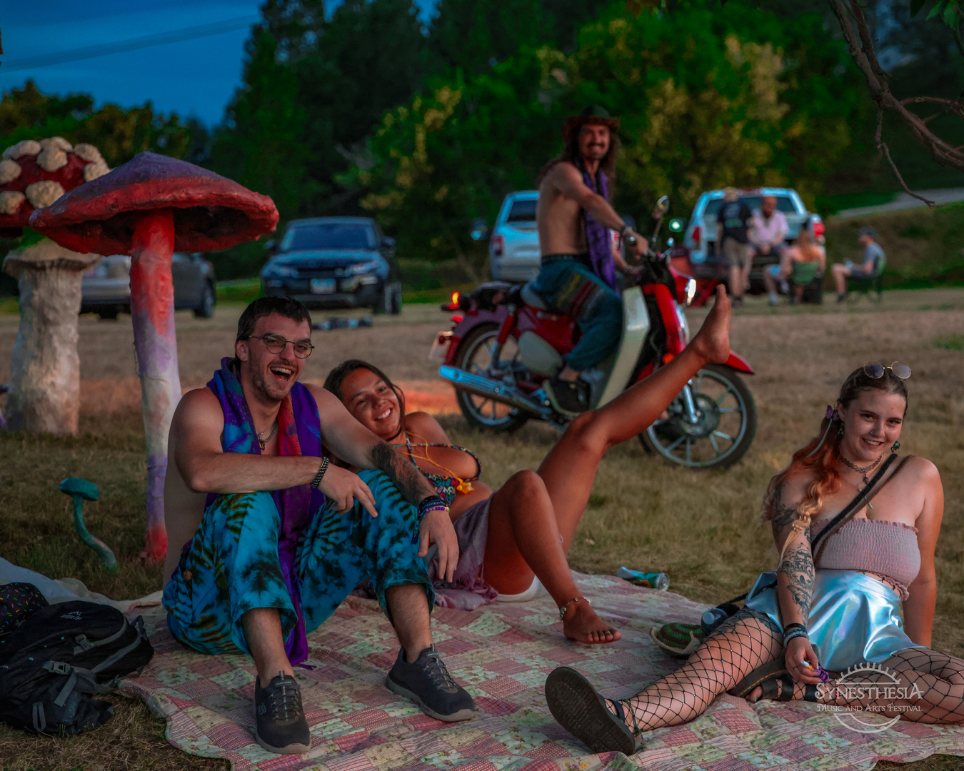 Synesthesia Music and Arts Festival - Synesthesia Music and Arts Festival