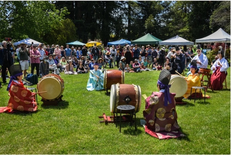 Matsuri! Japanese Arts Festival - Matsuri! Japanese Arts Festival