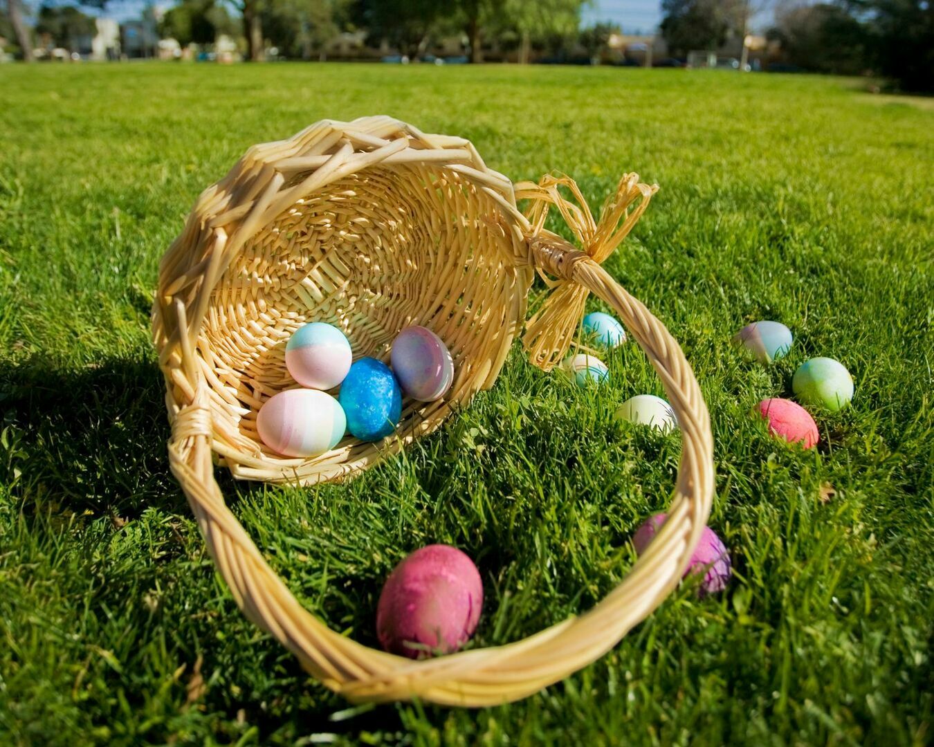 Riverside Vines Easter Egg Hunt + Festivities Sutherland, VA