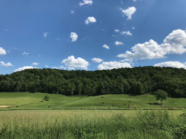 Savor the River Valley Farm & Food Tour