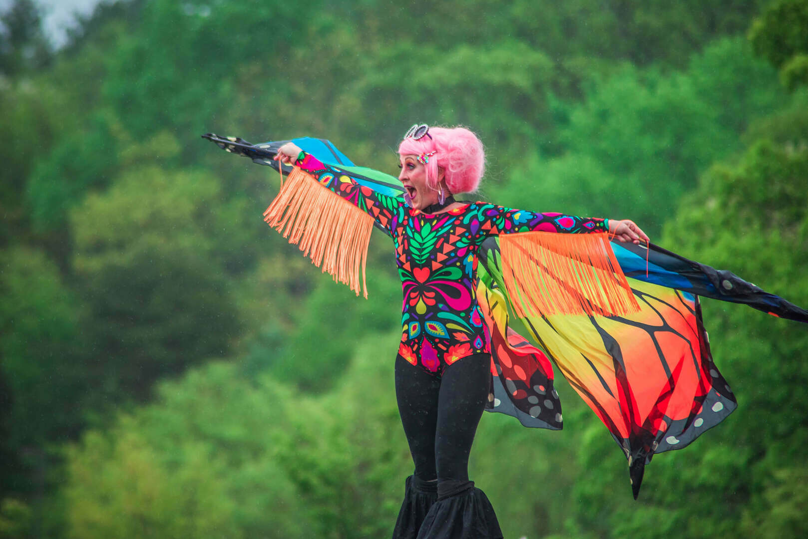 69th Annual Vinton Dogwood Festival - 69th Annual Vinton Dogwood Festival