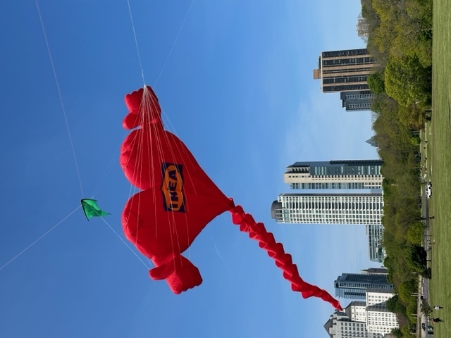 IKEA Family Kite Festival - IKEA Family Kite Festival