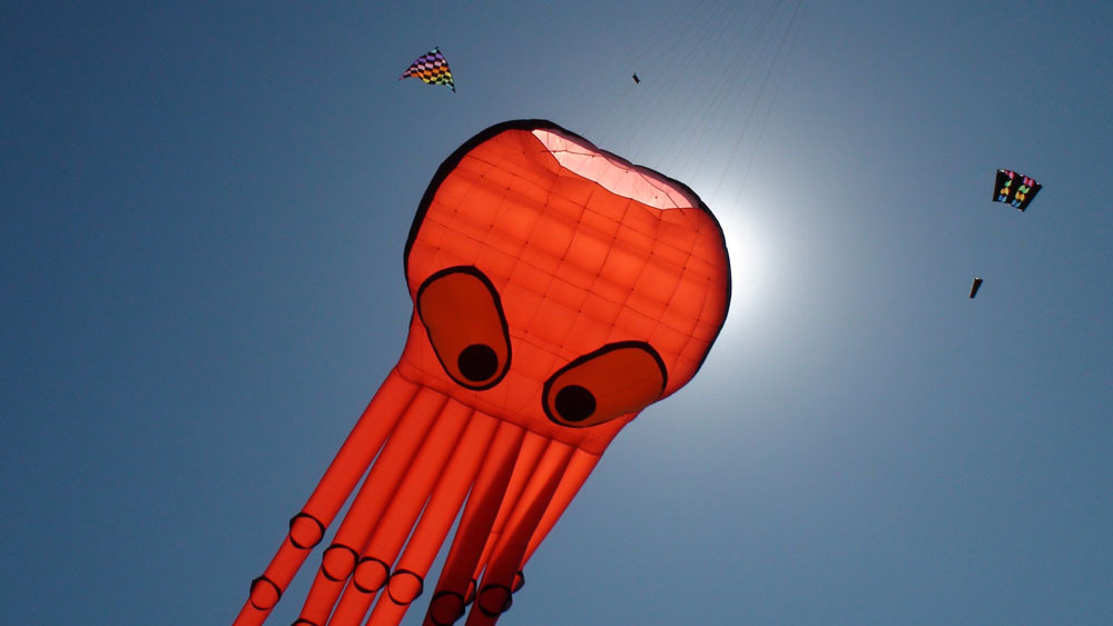 IKEA Family Kite Festival - IKEA Family Kite Festival