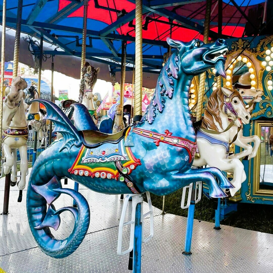 DeKalb Carnival - DeKalb Carnival