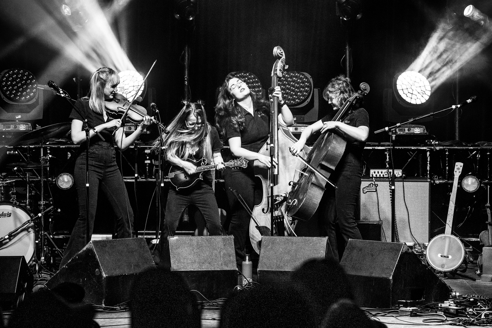 Strawberry Music Festival - Strawberry Music Festival