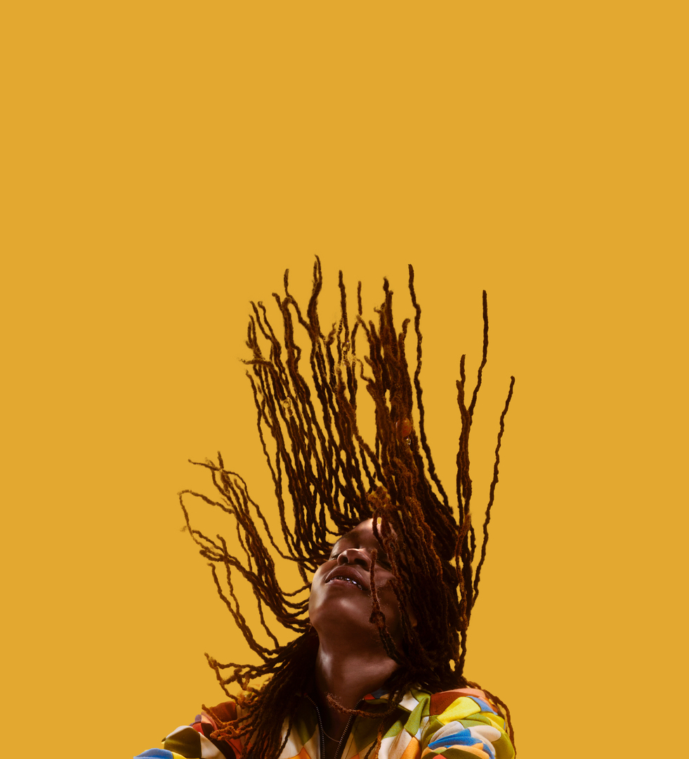 Sierra Nevada World Music Festival