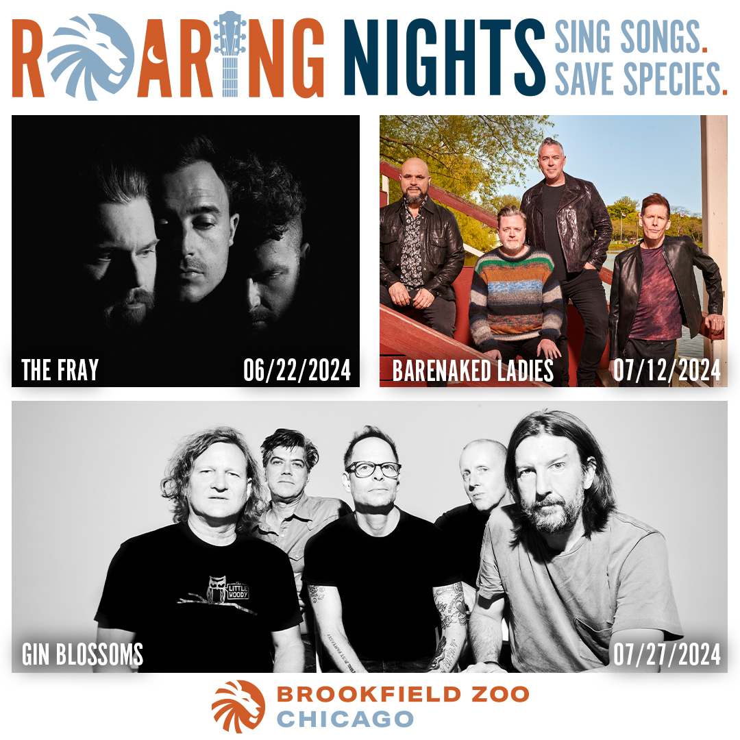 Roaring Nights at Brookfield Zoo Chicago