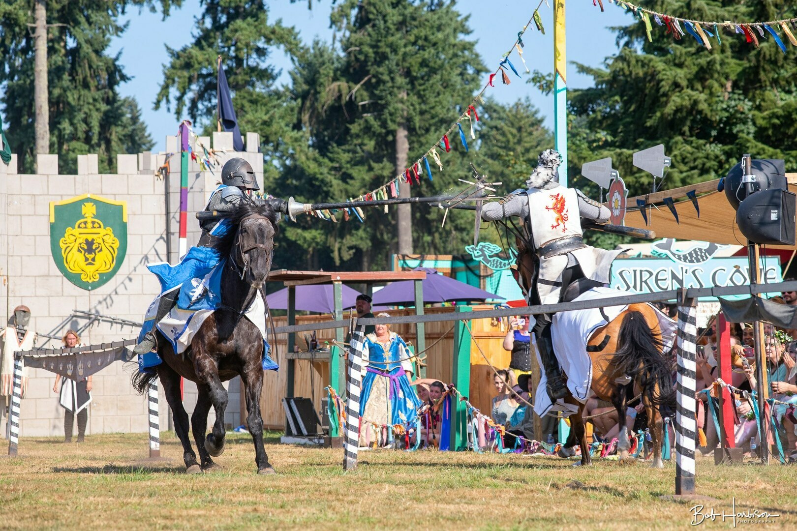 Washington Midsummer Renaissance Faire 2024 | Tickets