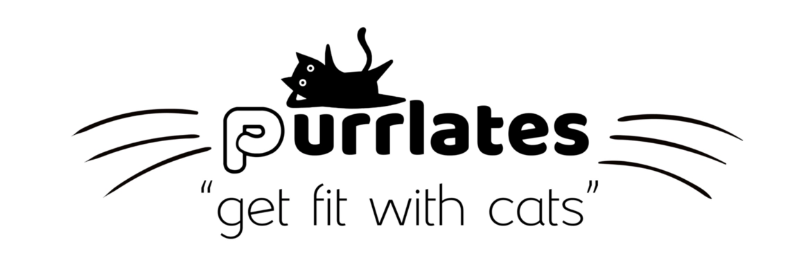 SF Weekly Events Purrlates (Pilates) with rescue and adoptable