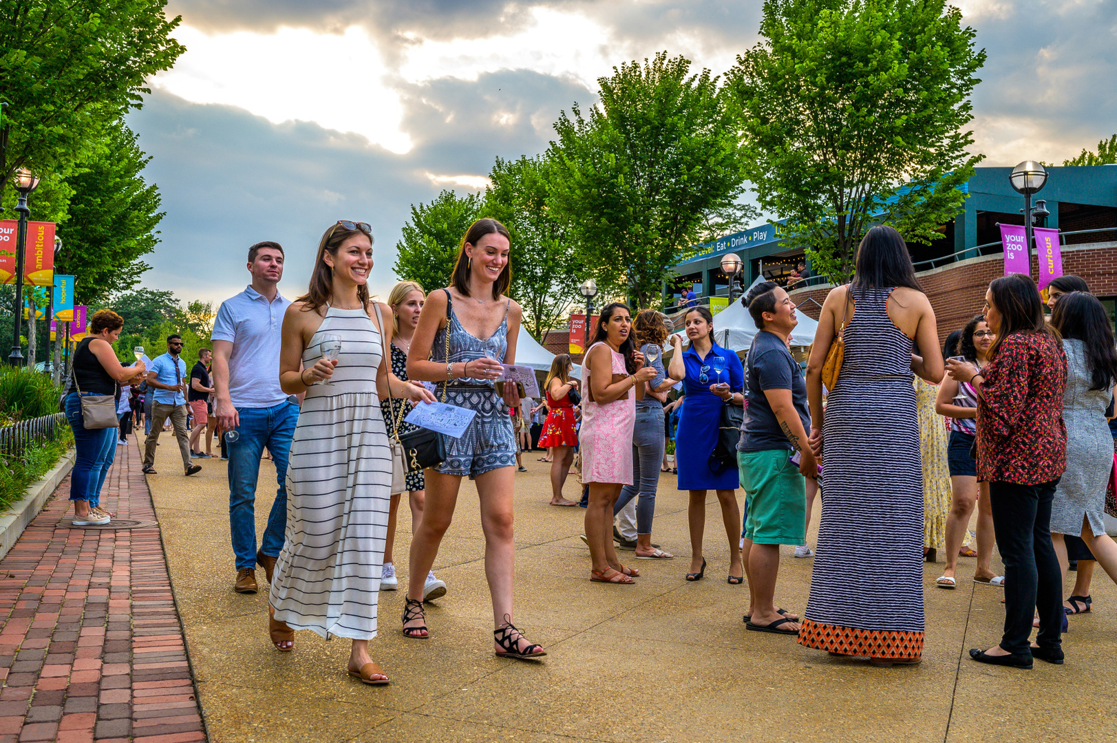 Summer Wine Fest - Summer Wine Fest
