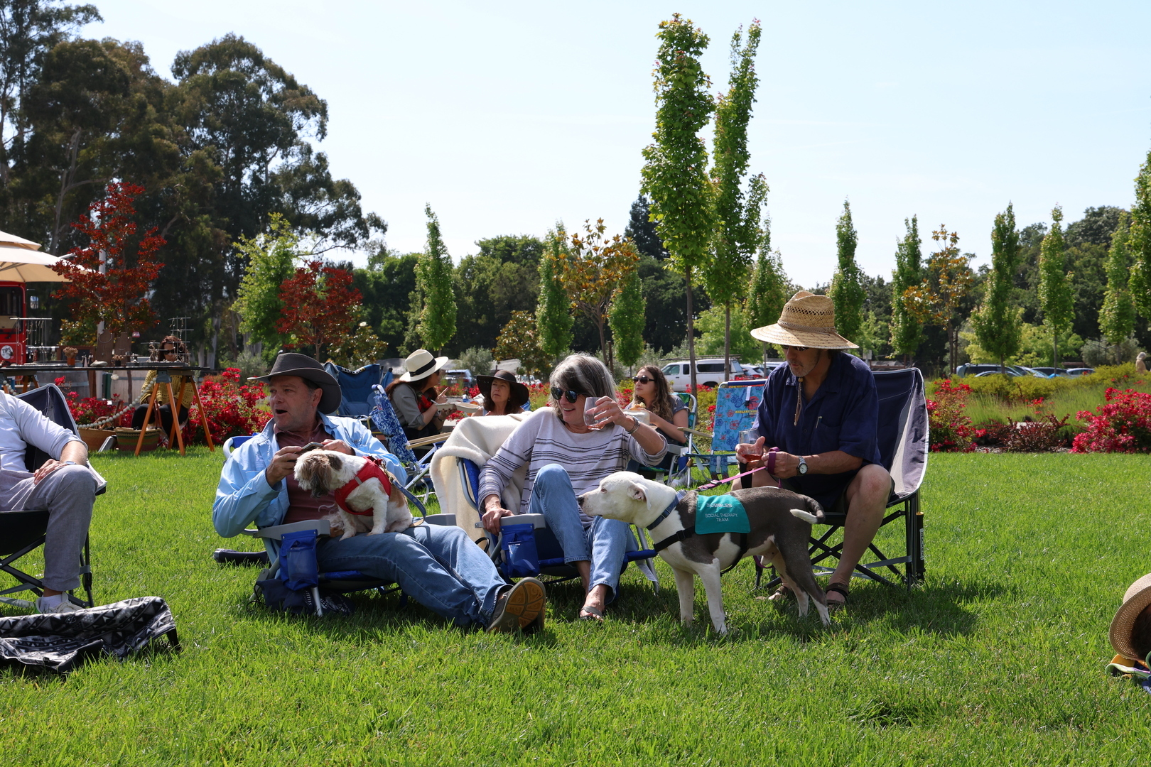 Sunday Social Club - Summer Music Series - Sunday Social Club - Summer Music Series
